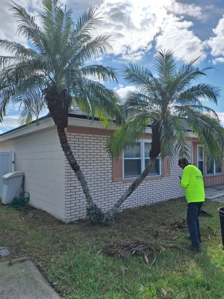 Reliable landscaping services near you across New Port Richey, FL - Eastman Lawn Care