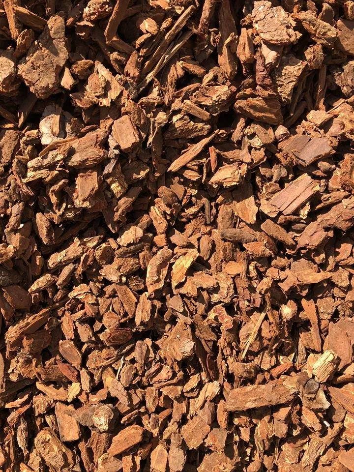 Professional outdoor landscaping for residential properties in San Marcos, CA by Eastman Soil Amendments