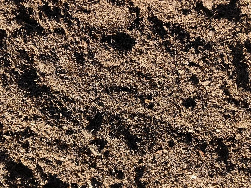 Top-rated lawn care service for beautiful yards in San Marcos, CA by Eastman Soil Amendments