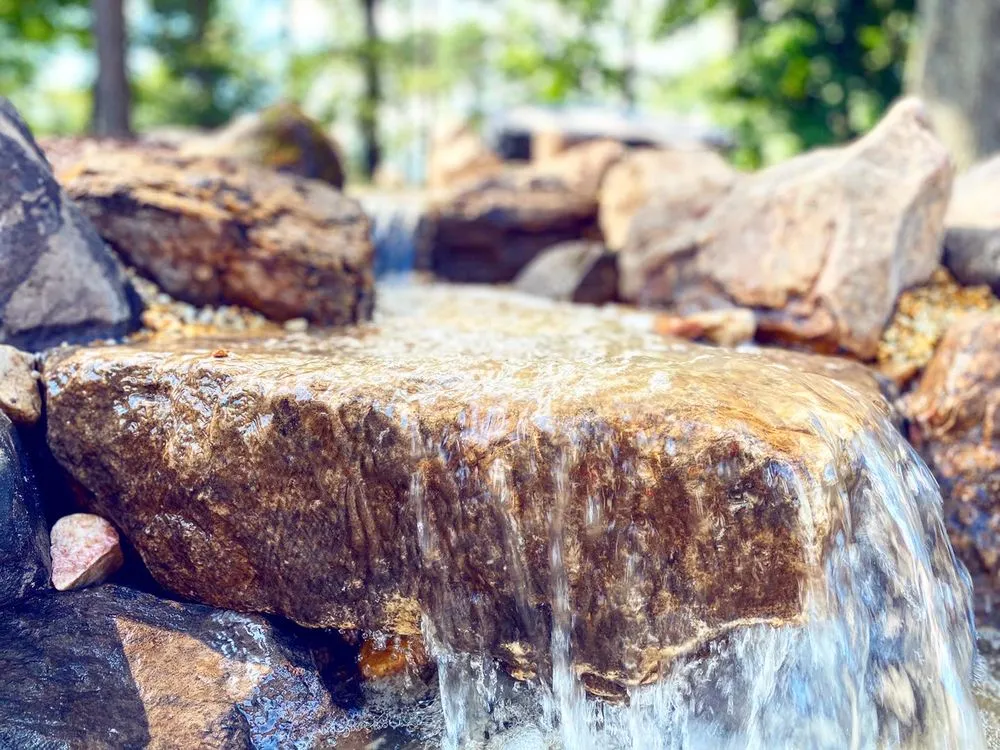 Top-rated lawn care service experts serving Poquoson, VA - Easton Outdoors