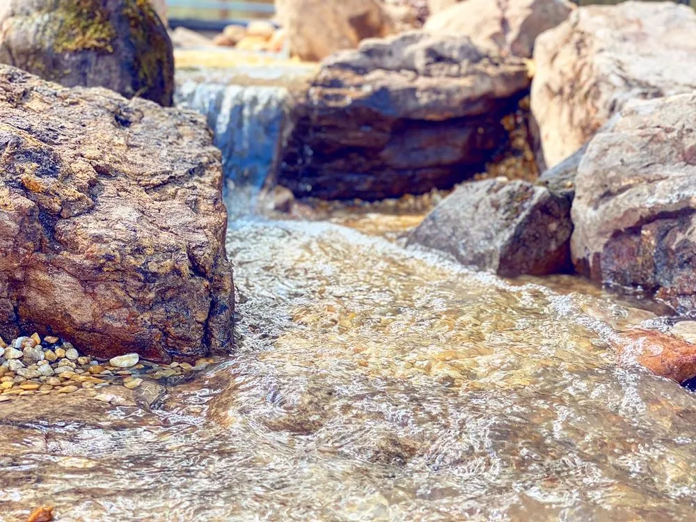 Expert yard maintenance in Poquoson, VA - Easton Outdoors