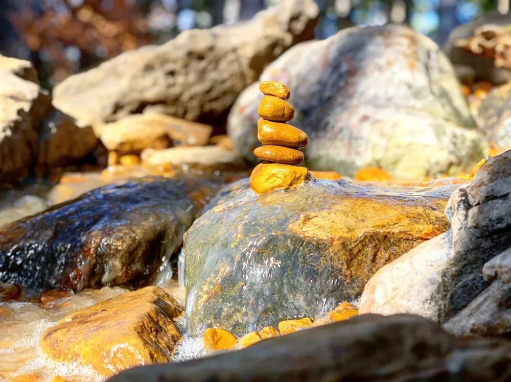 Expert landscaping services in Poquoson, VA by Easton Outdoors