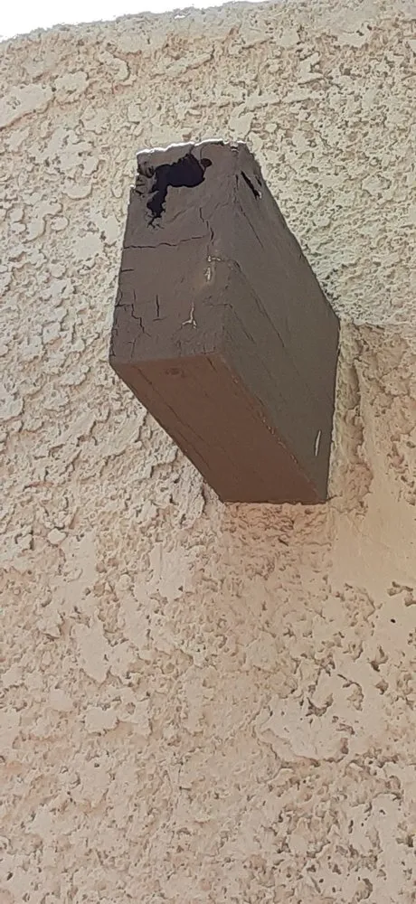 Professional lawn care service in Tucson, AZ by Eastside Handyman