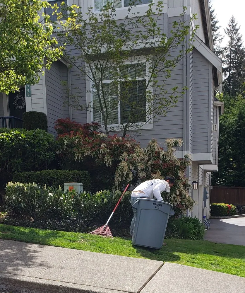 Local landscape installation in Issaquah, WA - Eastside Land Care