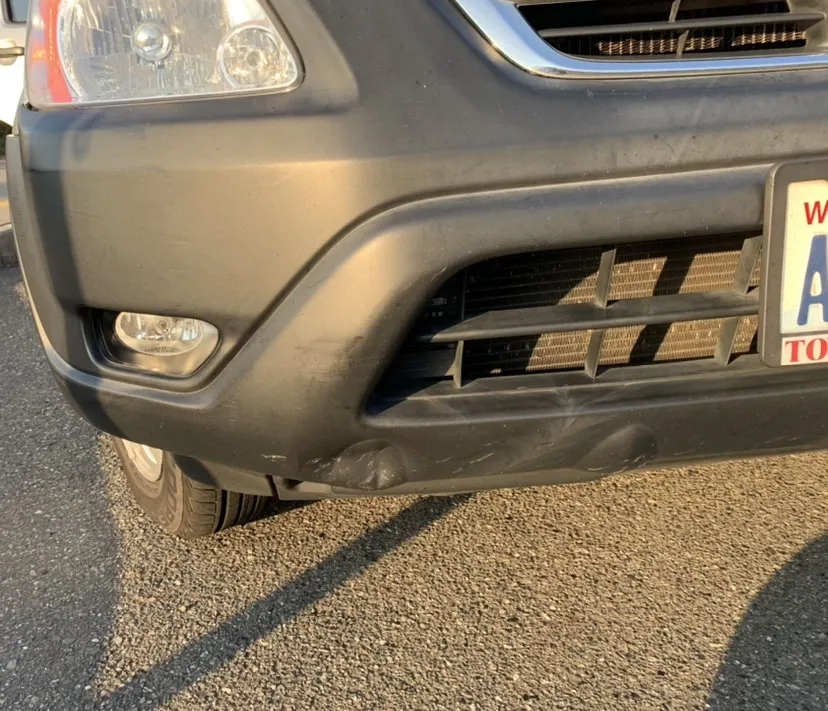 Expert landscaping services experts serving Issaquah, WA - Eastside Land Care