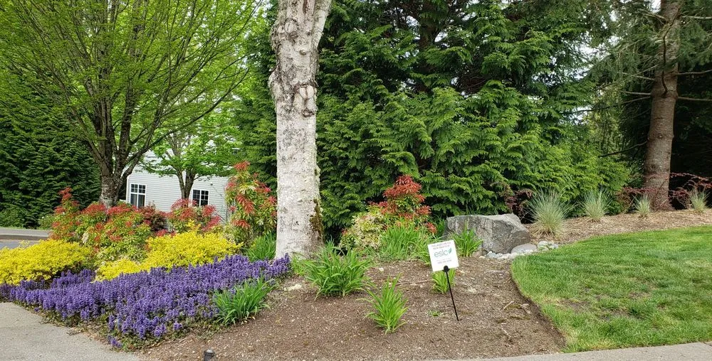 Affordable landscape design experts serving Issaquah, WA - Eastside Land Care