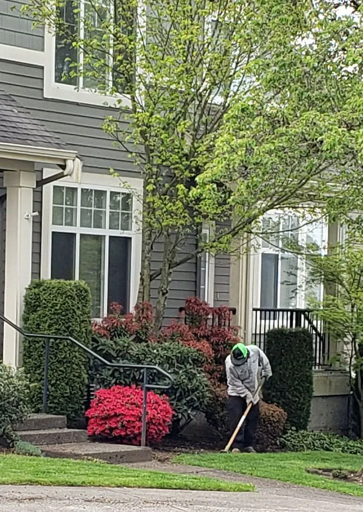 Professional yard cleanup service for year-round maintenance in Issaquah, WA by Eastside Land Care