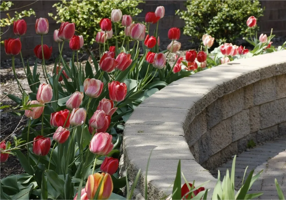 Expert landscape installation in Cleveland, OH by Eastside Landscaping