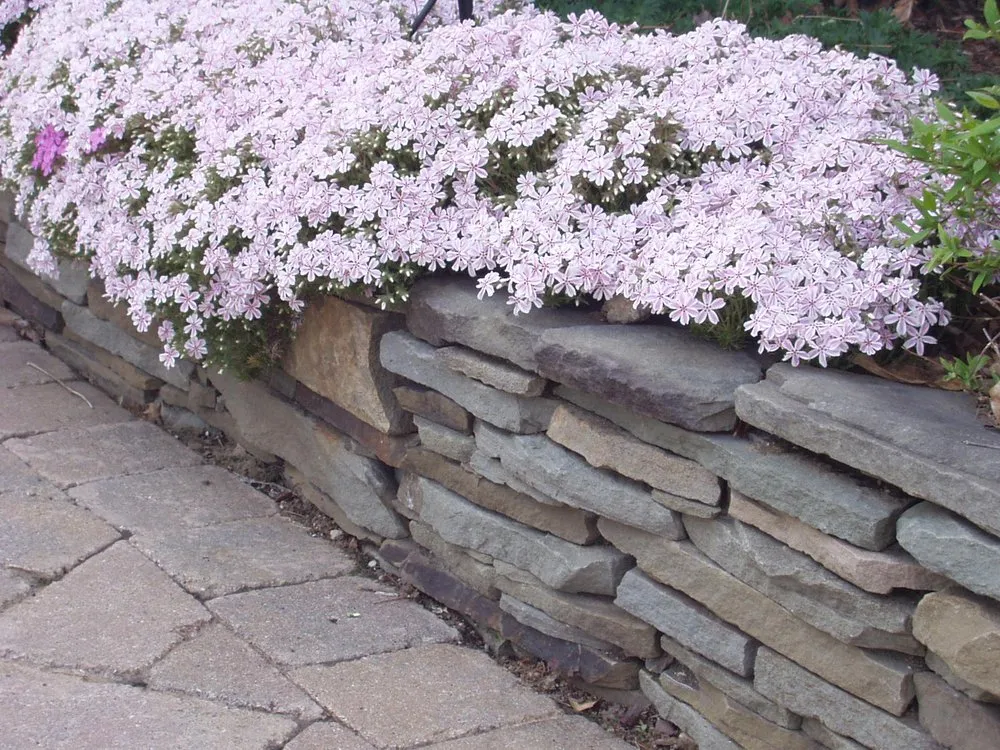 Top-rated lawn care service experts serving Cleveland, OH - Eastside Landscaping