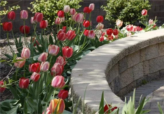 Eastside Landscaping Logo