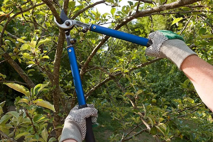 Expert residential landscaping in Kirkland, WA - Eastside Landscaping