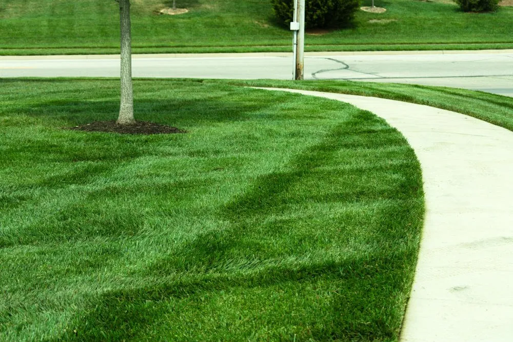 Expert yard cleanup service experts serving Milford, OH - Eastside Mowing