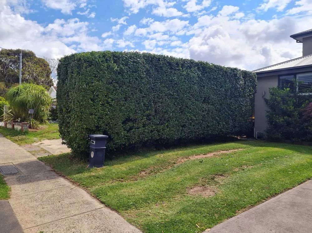 Top-rated landscape design in Philadelphia, PA by Eastwick Lawn Services