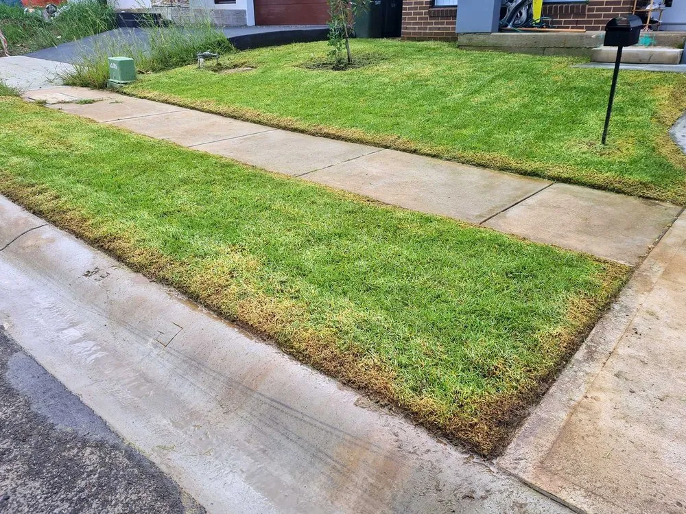 Local yard cleanup service for beautiful yards in Philadelphia, PA by Eastwick Lawn Services