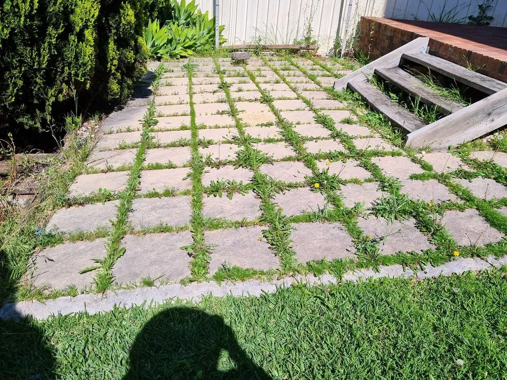 Local lawn care service for residential properties in Philadelphia, PA by Eastwick Lawn Services