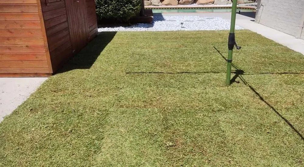 Professional residential landscaping in Philadelphia, PA by Eastwick Lawn Services