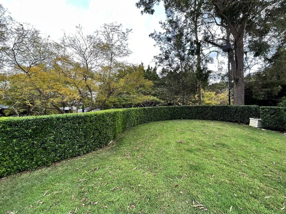 Local landscape design for outdoor upgrades in Philadelphia, PA by Eastwick Lawn Services