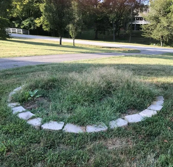 Local garden landscaping experts serving Louisville, KY - Eastwood Everything