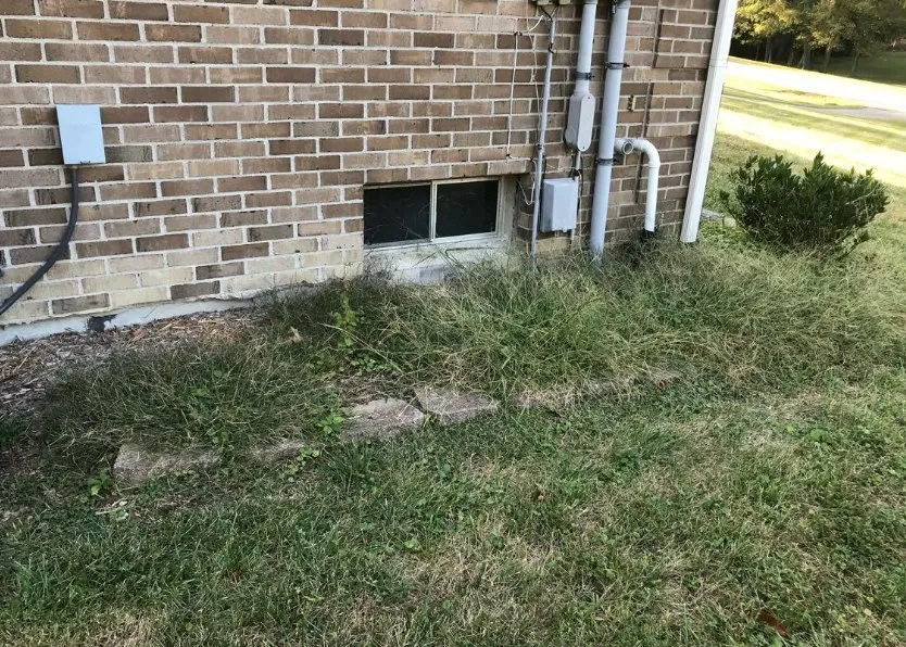 Top-rated landscaping services experts serving Louisville, KY - Eastwood Everything