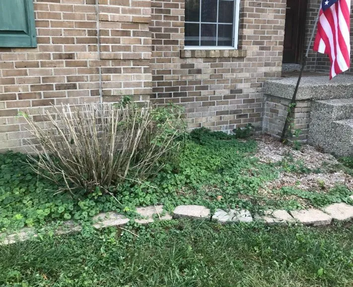 Custom garden landscaping for homes in Louisville, KY by Eastwood Everything