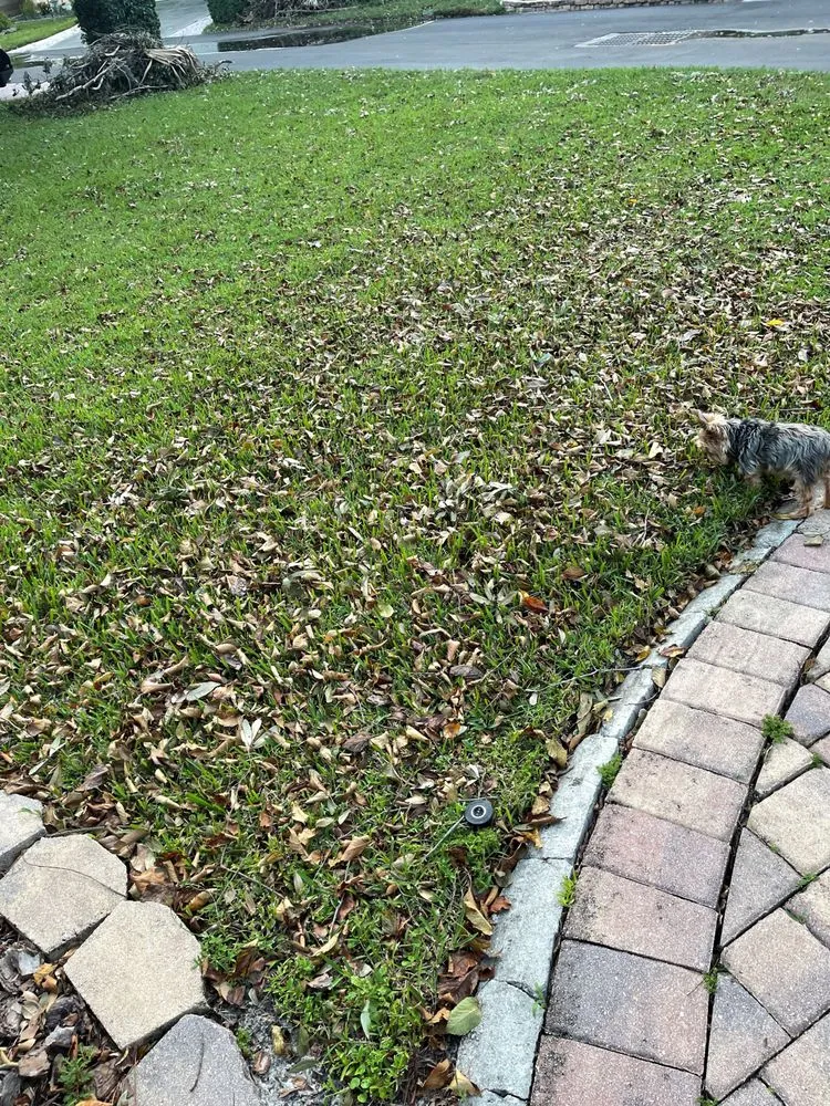 Trusted garden landscaping for beautiful yards across Oviedo, FL - Eastwood Tuff Turf of Central Florida