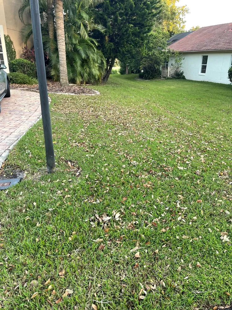 Top-rated landscaping services in Oviedo, FL by Eastwood Tuff Turf of Central Florida