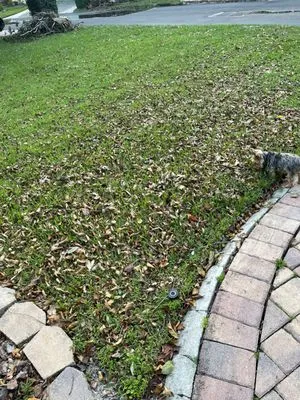 Eastwood Tuff Turf of Central Florida Logo