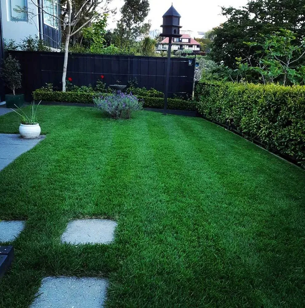 Expert residential landscaping in Austin, TX by Eastwoods Lawn Care