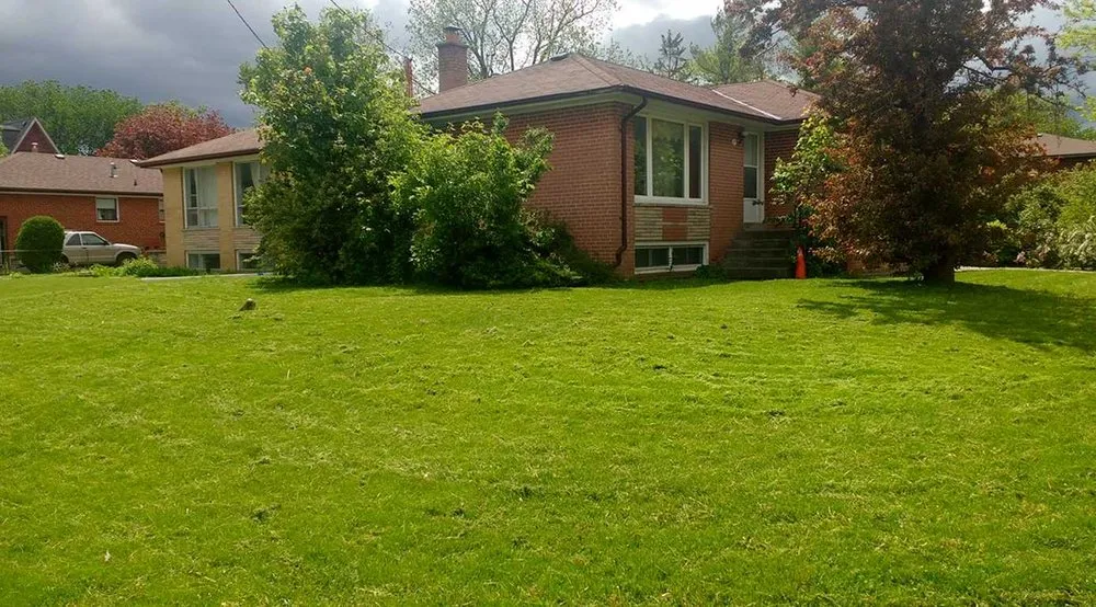 Top-rated lawn mowing service in Austin, TX - Eastwoods Lawn Care