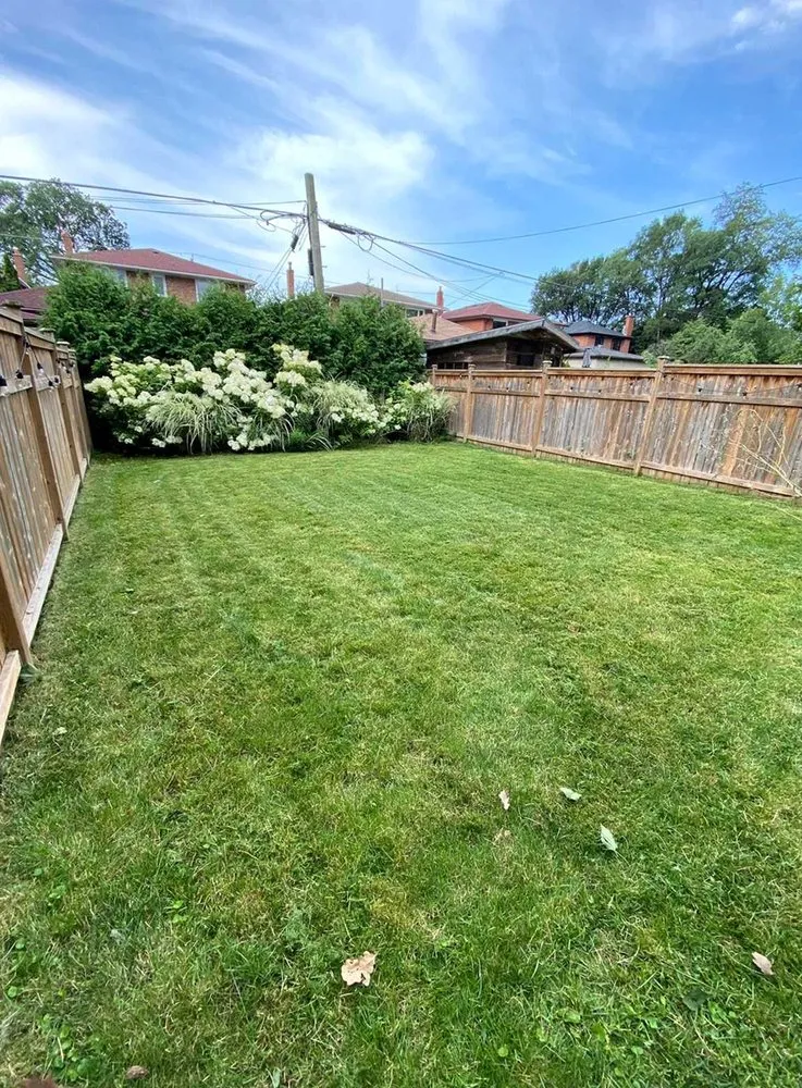 Affordable yard maintenance for outdoor upgrades across Austin, TX - Eastwoods Lawn Care