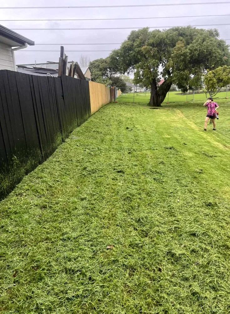 Expert outdoor landscaping near you across Austin, TX - Eastwoods Lawn Care