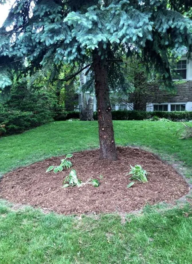 Trusted outdoor landscaping in Austin, TX - Eastwoods Lawn Care