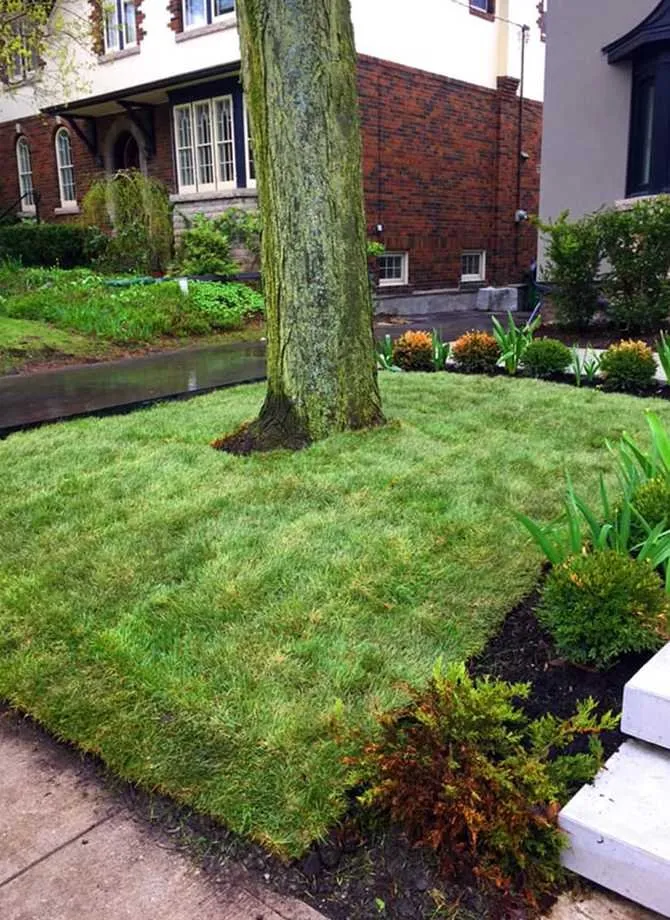 Expert landscape design experts serving Austin, TX - Eastwoods Lawn Care