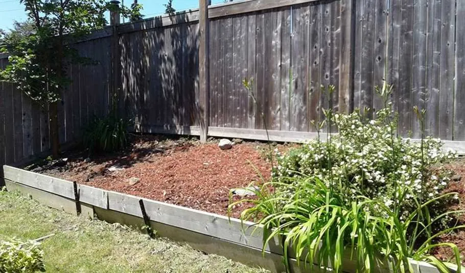 Custom yard maintenance experts serving Austin, TX - Eastwoods Lawn Care