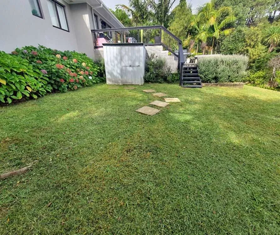 Local lawn mowing service in Austin, TX by Eastwoods Lawn Care