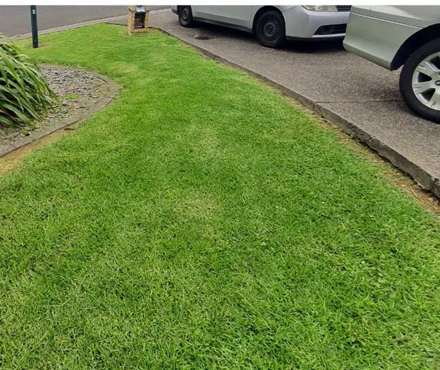 Local lawn care service with custom design in Austin, TX by Eastwoods Lawn Care