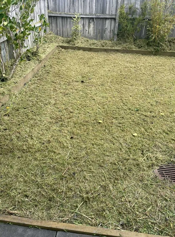 Custom landscape installation in Austin, TX - Eastwoods Lawn Care