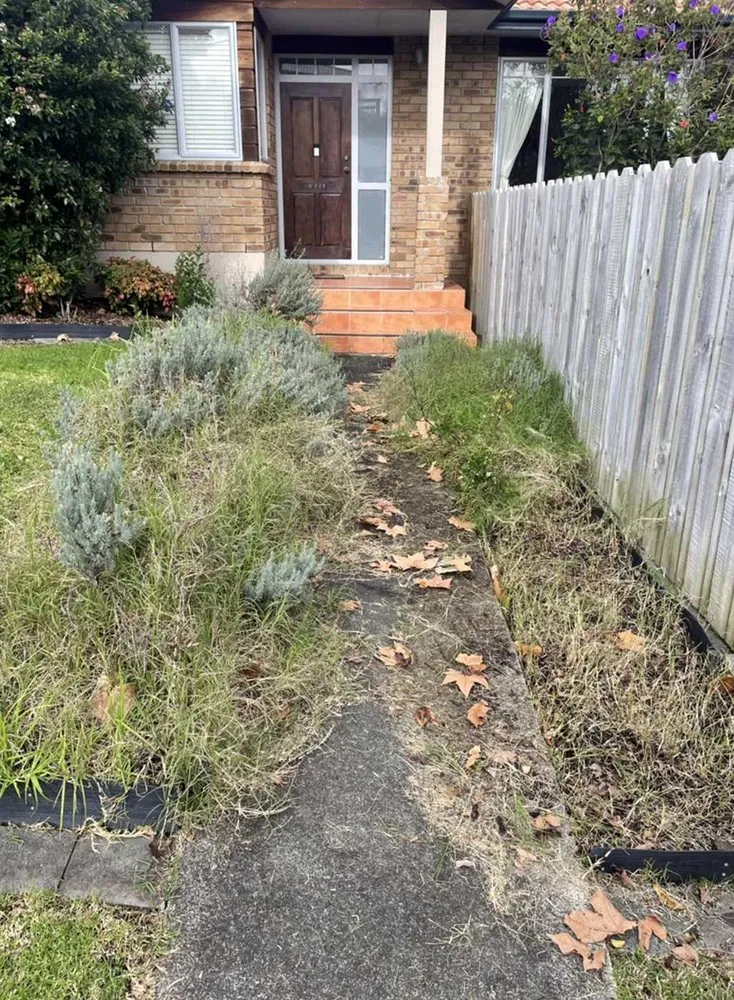 Top-rated yard cleanup service for outdoor upgrades in Austin, TX by Eastwoods Lawn Care