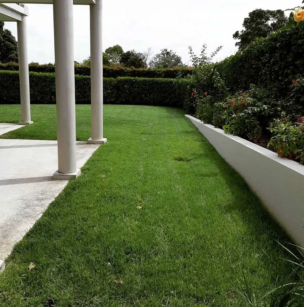 Trusted yard maintenance in Austin, TX - Eastwoods Lawn Care