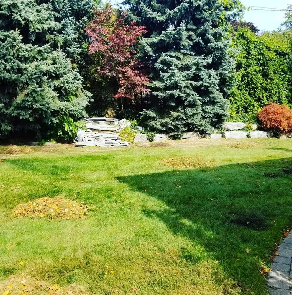 Professional landscape installation for homes in Austin, TX by Eastwoods Lawn Care