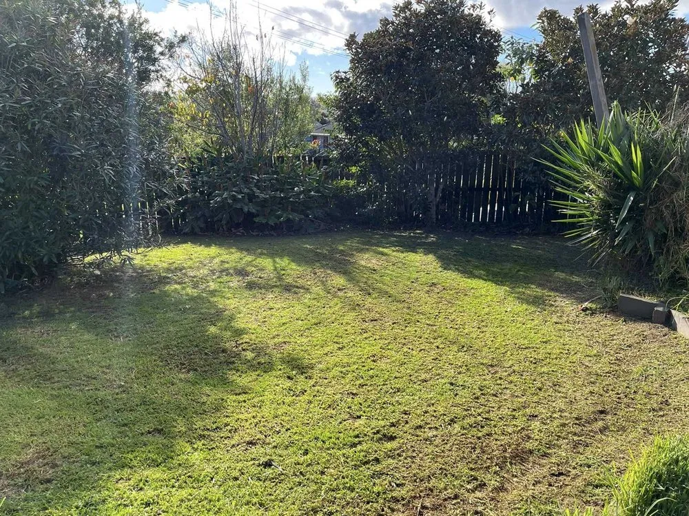 Affordable yard cleanup service for homes across Austin, TX - Eastwoods Lawn Care