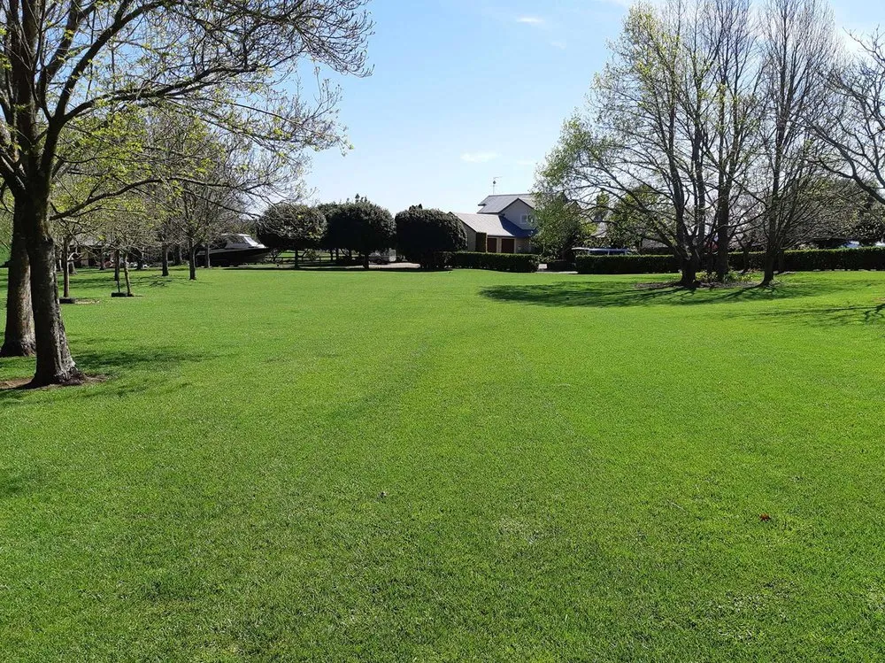 Top-rated outdoor landscaping for homes across Austin, TX - Eastwoods Lawn Care