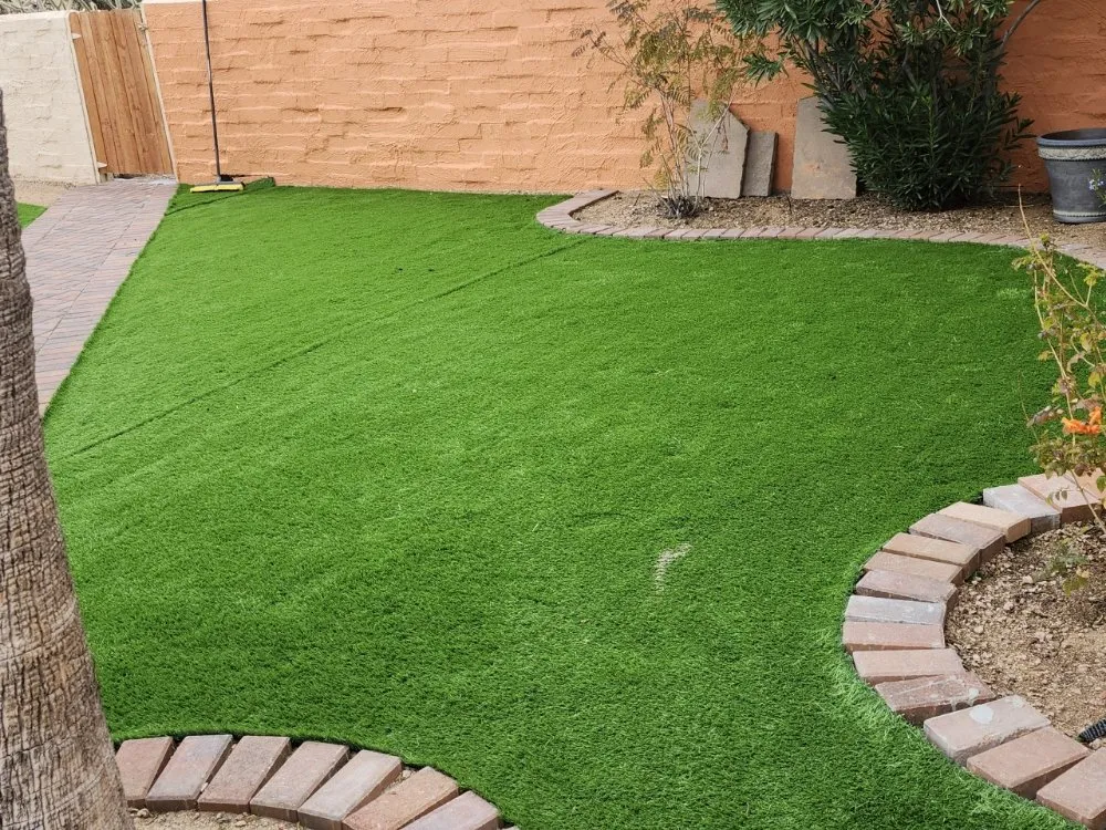 Trusted yard cleanup service near you across Tucson, AZ - Easy AZ Landscaping LLC