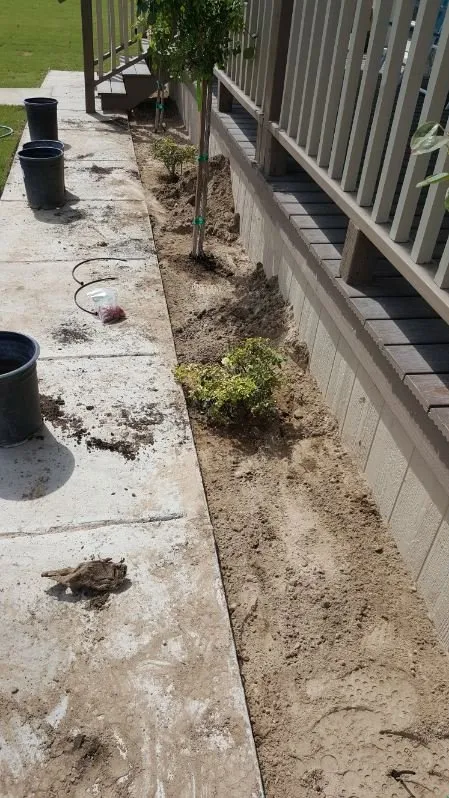 Top-rated garden landscaping with custom design across Tucson, AZ - Easy AZ Landscaping LLC