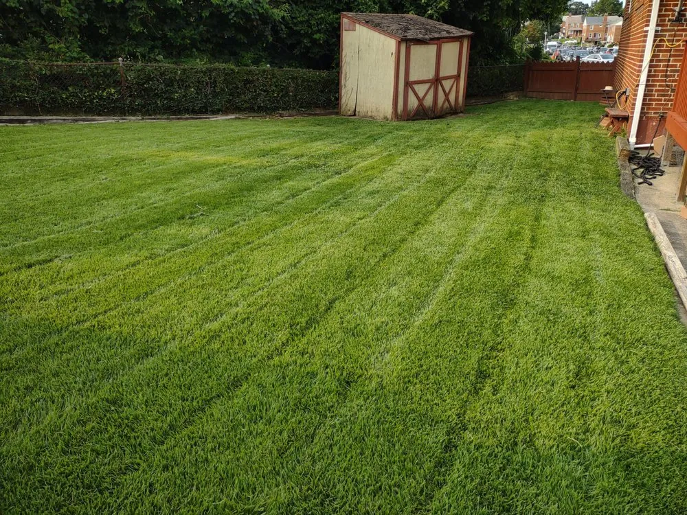 Reliable lawn mowing service near you in Huntingtown, MD by Easy Breezy Lawn Service