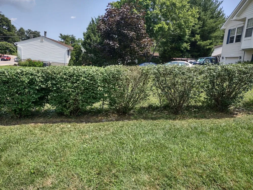 Custom garden landscaping near you in Huntingtown, MD by Easy Breezy Lawn Service