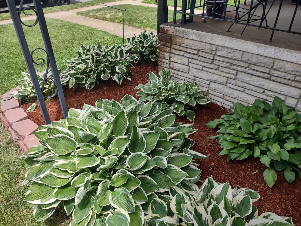 Reliable lawn mowing service for residential properties across Huntingtown, MD - Easy Breezy Lawn Service