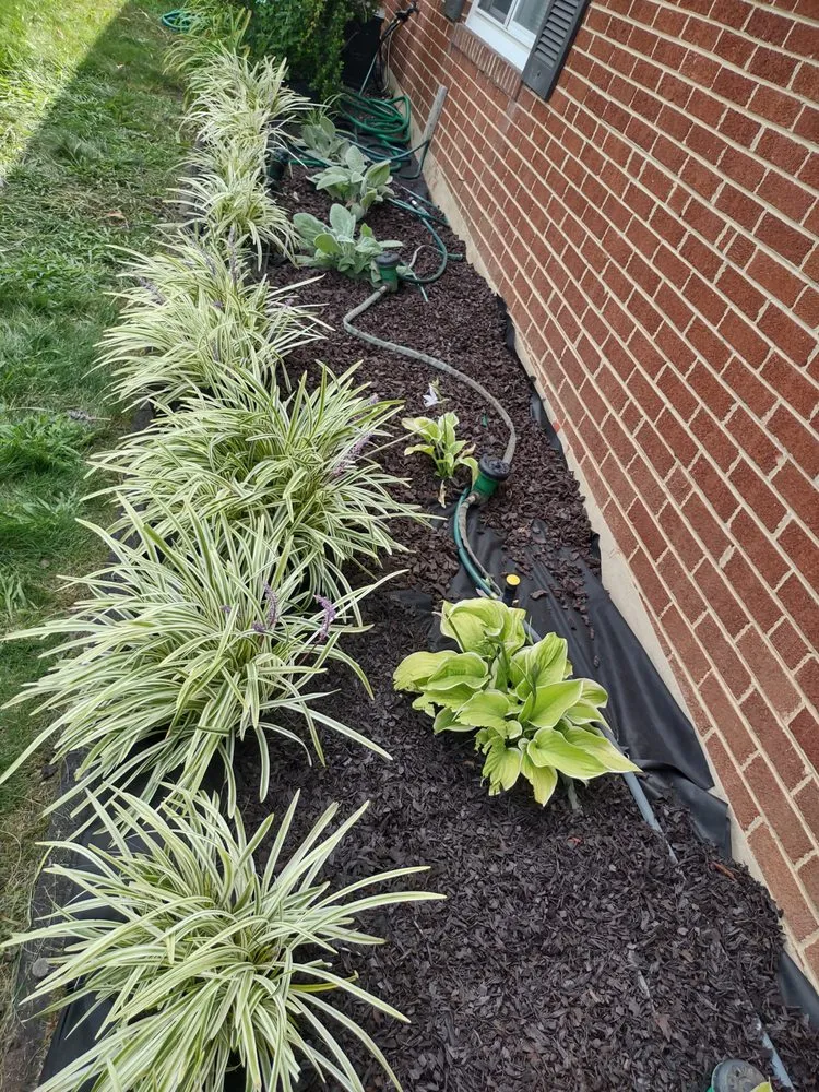 Top-rated outdoor landscaping experts serving Huntingtown, MD - Easy Breezy Lawn Service