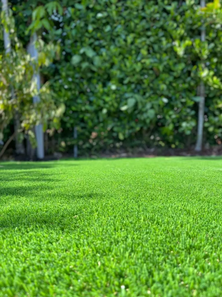 Professional residential landscaping with custom design in Hialeah, FL by Easy Care Grass