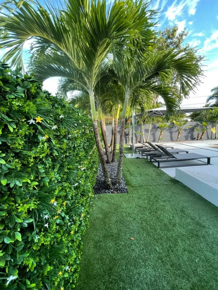 Top-rated landscape design for outdoor upgrades across Hialeah, FL - Easy Care Grass